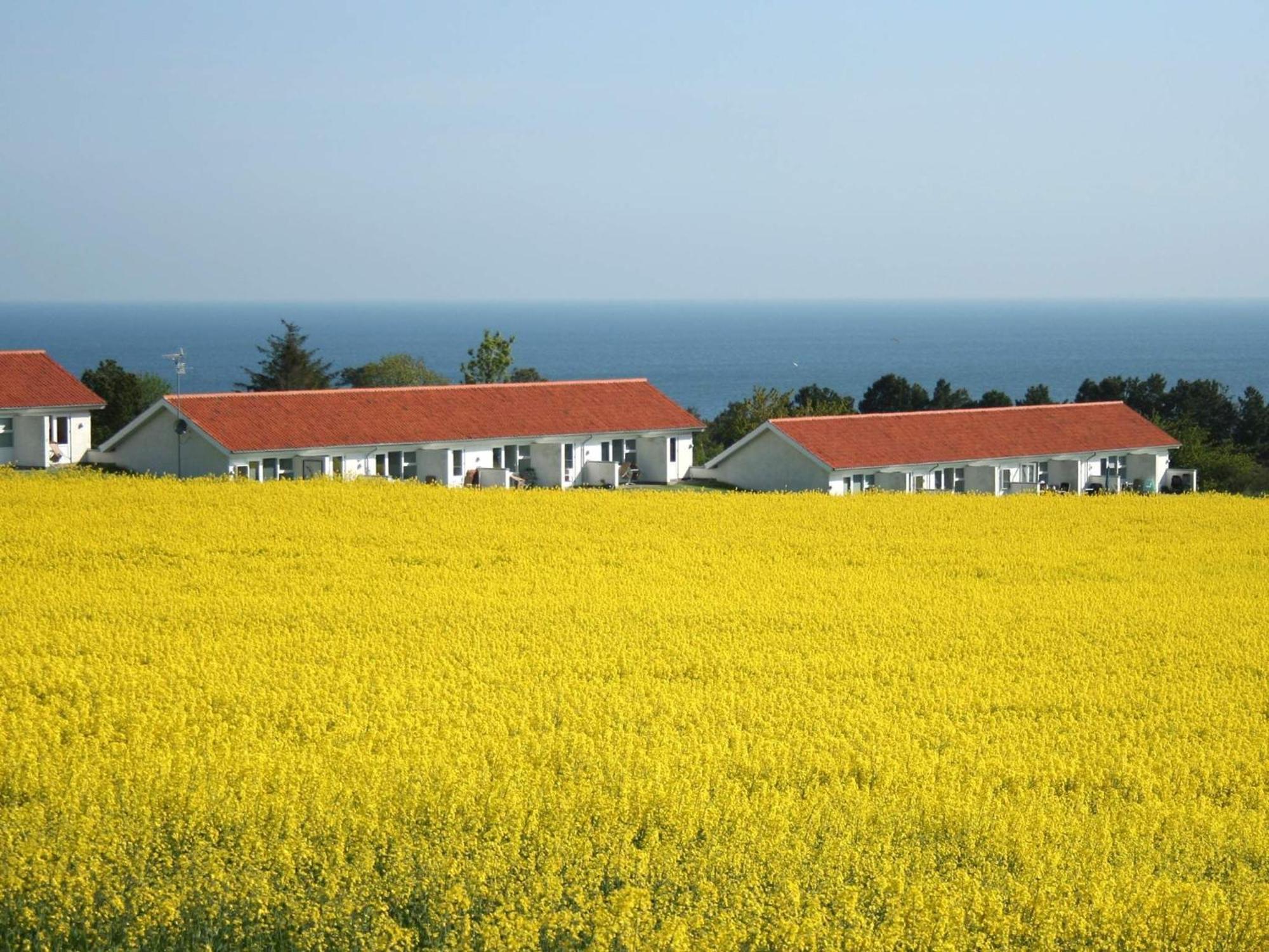 2 Person Holiday Home In Allinge Buitenkant foto